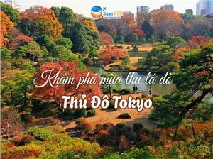 Khám Phá Mùa Lá Đỏ Rực Rỡ Ngay Giữa Lòng Thủ Đô Tokyo